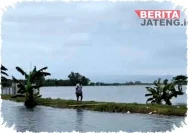 Lumpur Banjir Mengancam Sawah di Jawa Tengah: Sekda Jateng Janji Perbaikan Segera