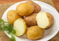 Manfaat Kentang Rebus untuk Kesehatan: Lebih dari Sekadar Pilihan Diet