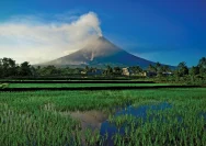 Mayon Volcano Mengamuk: Abu Tebal Menutupi 87 Desa, Lebih 300 Keluarga Dievakuasi