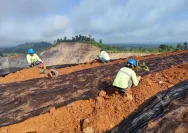 Membangun Kembali: Bekas Tambang Andesit di Semarang Menjadi Agrowisata