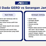 Membedakan Nyeri Dada GERD dan Serangan Jantung: Apakah Mirip?