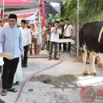 Mengakhiri Idul Adha dengan Semangat Kemanusiaan: Masjid Aisyah Semarang Mengelola Hewan Kurban 285 Ekor