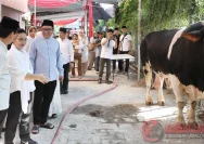 Mengakhiri Idul Adha dengan Semangat Kemanusiaan: Masjid Aisyah Semarang Mengelola Hewan Kurban 285 Ekor