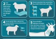 Mengenal Doa dan Tata Cara Menyembelih Hewan Kurban yang Benar