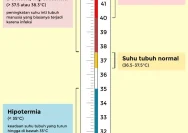 Mengenal Suhu Tubuh Manusia: Apa itu Normal dan Apa yang Perlu Diwaspadai?