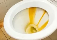Menghilangkan Noda Kuning di Toilet dengan Cara yang Efektif