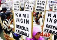 Meta Umumkan PHK 8.000 Karyawan: Apa yang Terjadi di Belakang Rekor Laba 2026?