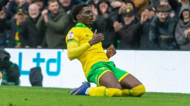 MO TOURE: Bintang Socceroos Berbicara tentang Perpindahannya ke Norwich City