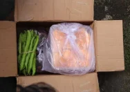 Paket Misterius di Kudus Terungkap, Pengirim Minta Maaf