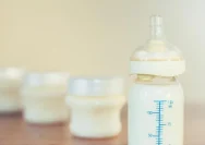 Panduan Keamanan untuk Bunda: Berapa Lama Susu Formula Bertahan Setelah Diseduh?