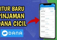 Panduan Lengkap Mengaktifkan Fitur DANA Cicil 2026 untuk Transaksi Lebih Fleksibel