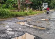 Pati Segera Perbaiki Jalan Rusak dengan Anggaran Rp 210 Miliar