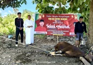 PDI Perjuangan Jawa Tengah Gelar Kurban 17 Sapi dan 20 Kambing untuk Wong Cilik