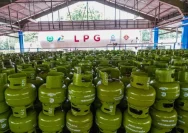 Pemerintah Tegaskan Stabilitas Harga LPG Subsidi Sampai 2026