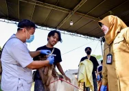 Pemkab Garut Siapkan Tim Kesehatan Hewan untuk Idul Adha