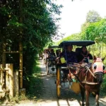 Pemkab Pati Dorong Kemajuan Desa Wisata di Jawa Tengah