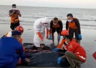 Pencarian Nelayan Hilang di Pantai Baru Bantul Berakhir, Korban Ditemukan Meninggal Dunia