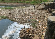 Pencemaran Sungai Mbango: Upaya Pemerintah yang Kurang Bertanggung Jawab