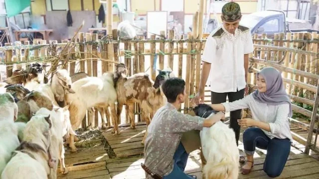 Pengajian Endo Semoyo Semarang Menyembelih 24 Kambing Kurban, Menunjukkan Kepedulian Sosial