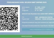 Pengumuman SNBT 2026: Cara Cek Hasil dan Link Resmi