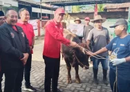 Peningkatan Kurban oleh PDIP Karanganyar di Iduladha 2026