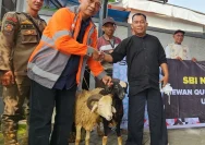 Perdebatan Kurban Vs Bansos: Mencari Solusi untuk Masyarakat