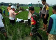 Petani Meninggal Saat Gali Sumur di Sawah, Warga Grobogan Duka