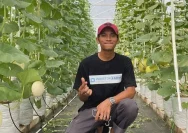 Petani Milenial di Blora Menghasilkan Omzet Ratusan Juta dari Budi Daya Melon