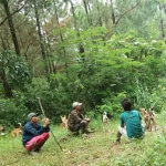 Petani Pati Selatan Menghadapi Wabah Serangan Monyet