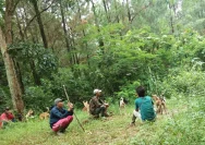 Petani Pati Selatan Menghadapi Wabah Serangan Monyet