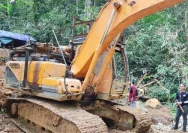 PETI Excavator: Warga Minta Polda Jambi Turun Tangan Melawan Aktivitas Tambang Ilegal