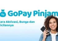 Pinjaman Cepat dengan GoPay Pinjam: Solusi Finansial yang Mudah dan Aman