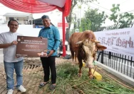 PKB Sidoarjo Bagikan Daging Kurban Idul Adha, 3 Sapi dan 20 Kambing Disalurkan