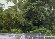 PLN Indonesia Power Gelar Proyek Energi Surya di Bangladesh dengan Potensi 495 MW