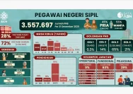 PNS Berkurang, Era Baru PPPK Dimulai, CPNS Makin Ketat?