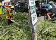 Pohon Tumbang di Lebakbarang: Petugas Gabungan Gerak Cepat Evakuasi dan Pembersihan