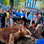 Polda Sumut Berbagi Daging Sapi Kurban pada Hari Raya Idul Adha