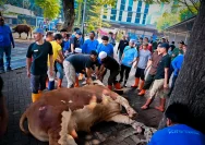 Polda Sumut Berbagi Daging Sapi Kurban pada Hari Raya Idul Adha