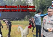 Polisi Bubarkan Aktivitas Judi Sabung Ayam di Mendahara Ilir