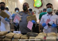 Polisi Gagalkan Peredaran 2 Kilogram Ganja di Bukit Lawang