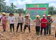 Polisi Masyarakat Sama-sama Tanam Jagung Pipil di Rokan Hulu