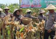 Polres Bojonegoro Mendukung Panen Raya Jagung untuk Ketahanan Pangan Nasional