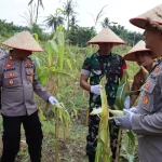 Polres Kebumen Luncurkan Operasional SPPG Polri dan Panen Jagung 0,42 Ton