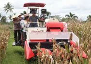 Polres Purworejo Galang Petani Tanam Jagung, Berikan Jaminan Sosial untuk Ketahanan Pangan Berkelanjutan