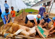 Polsek Gunungkencana Melaksanakan Penyembelihan Hewan Kurban di Lingkungan Mapolsek