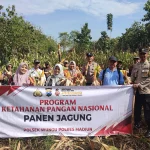 Polsek Tikung Lakukan Panen Raya Jagung untuk Ketahanan Pangan