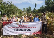 Polsek Tikung Lakukan Panen Raya Jagung untuk Ketahanan Pangan