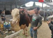 Presiden Prabowo Membeli Sapi Kurban Seberat 1 Ton dari Peternak di Temanggung