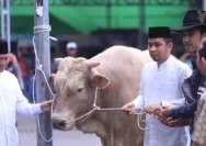 Presiden Prabowo Sambut Idul Adha dengan Sapi Kurban di Grobogan