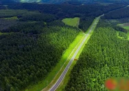 Proyek Penghijauan China Membawa Dampak Tak Terduga pada Distribusi Air Tawar Global